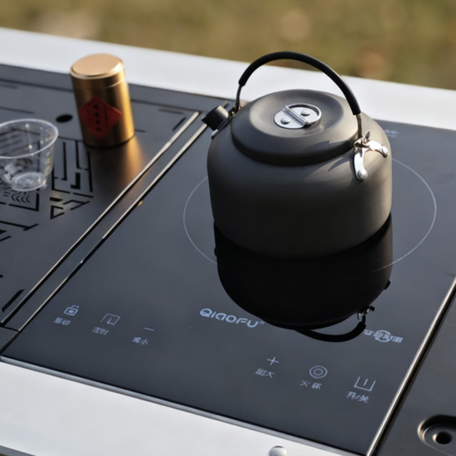 IGT Induction Cooker