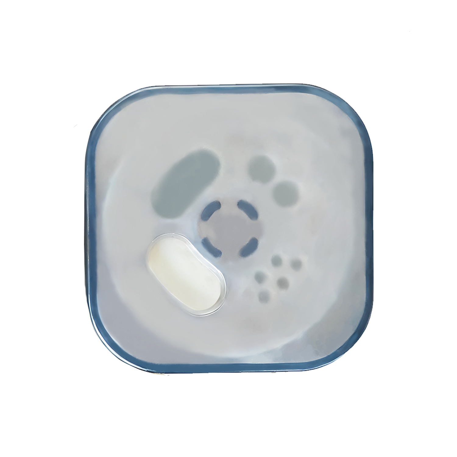 Seasoning Bottle